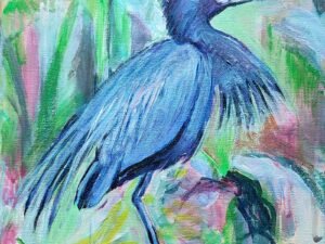 257 paukstelis20juodasis20garnys.jpg