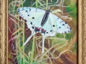 263 baltasis20drugelis.jpg