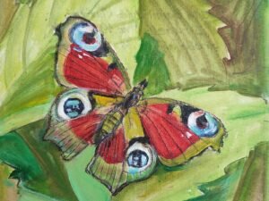 269 drugelis20povo20akys.jpg