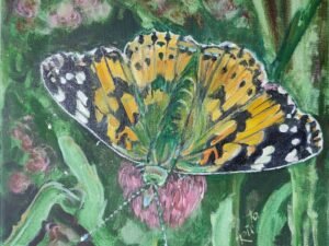 277 damazelis20margasis.jpg