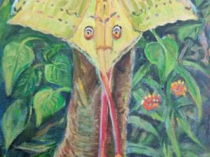 285 afrikos20menulio20drugelis.jpg