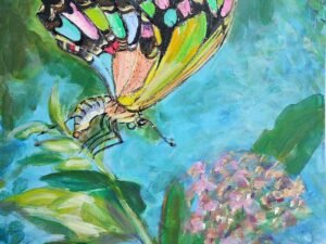 286 ivairiaspalvis20drugelis.jpg