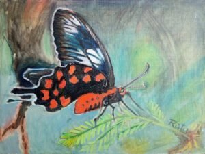 289 uodeguotasis20drugelis.jpg