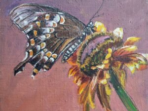 290 drugelis20ir20saulegraza.jpg