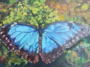 301 melynasis20morfo20drugelis.jpg