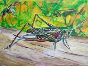 302 nidos20ziogas.jpg