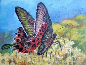 309 drugelis20pievoje.jpg