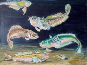 337 juros20dugne20v.jpg