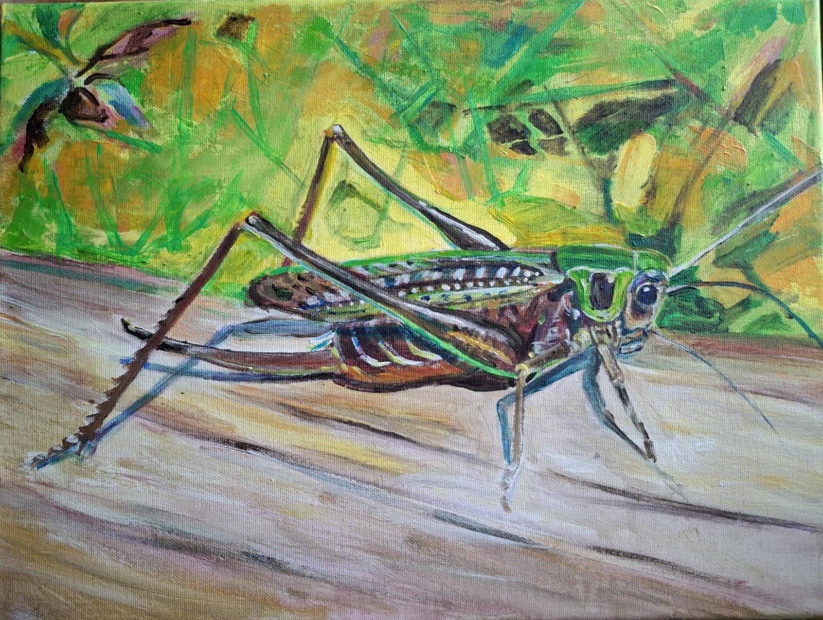 476249897 122189496116157268 6973284631755847465 n