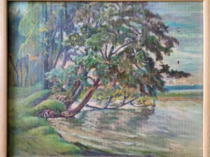 prie seirijų ežero