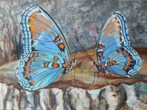 Mėlynsparniai drugeliai